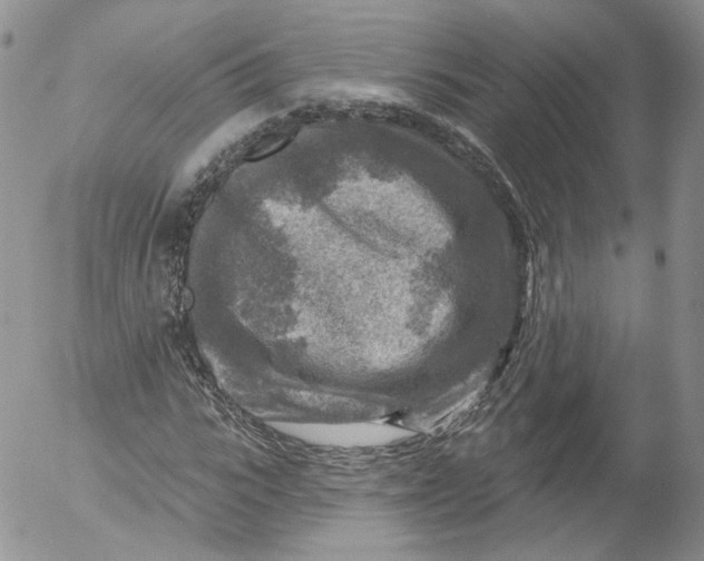 X0000053120919200508012147