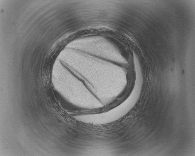 X0000053120920200508012147