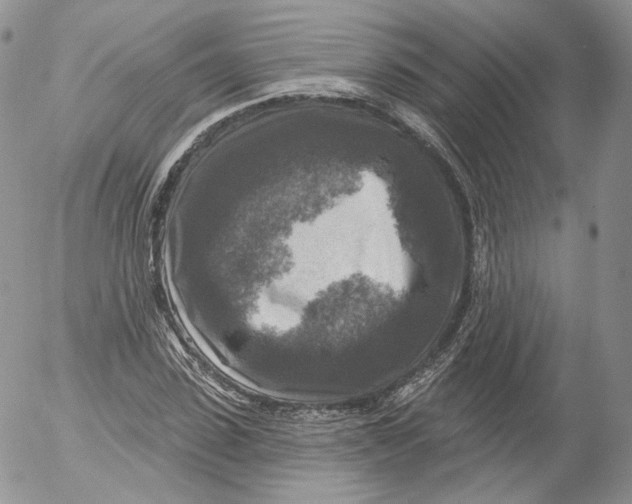 X0000053120923200508012147