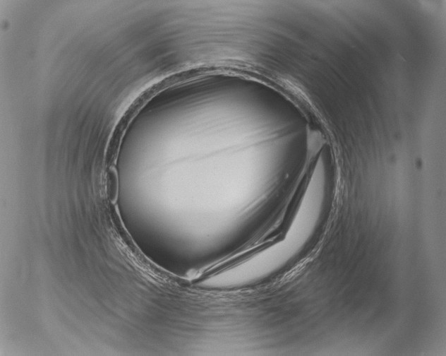 X0000053120924200508012147