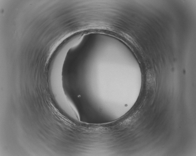 X0000053120926200508012147