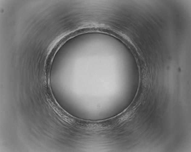 X0000053120927200508012147