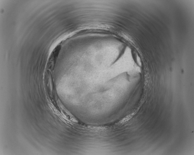 X0000053120928200508012147