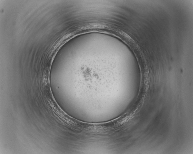 X0000053120929200508012147