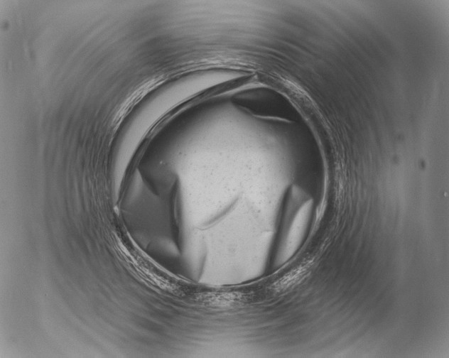 X0000053120930200508012148