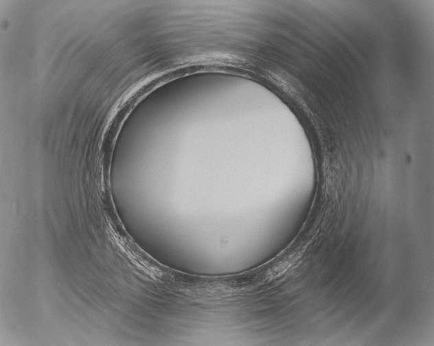 X0000053120931200508012148