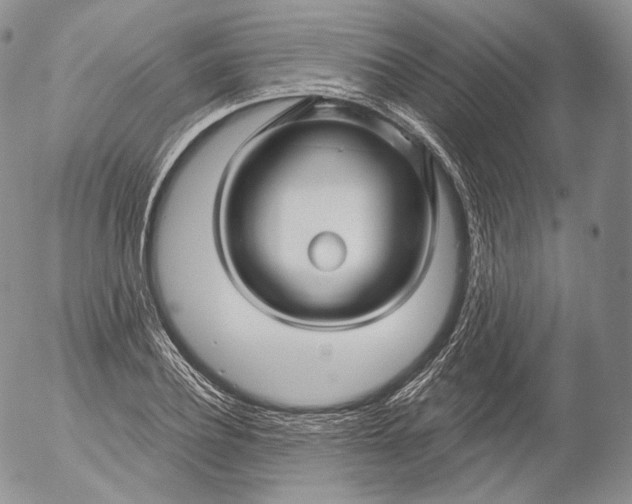 X0000053120932200508012148