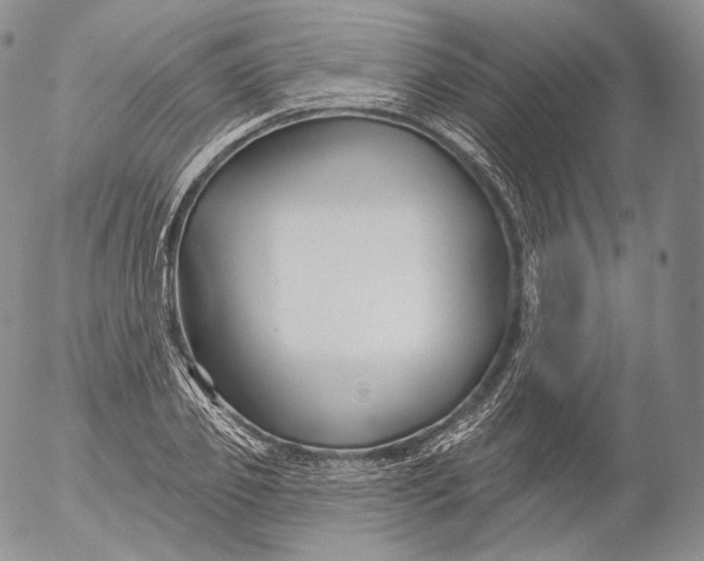 X0000053120933200508012148