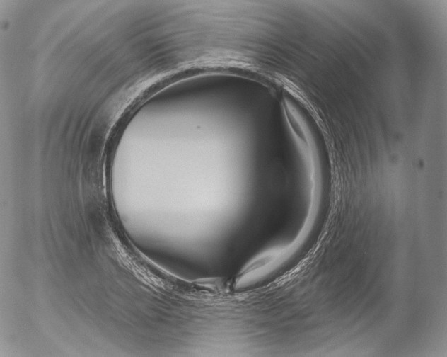 X0000053120934200508012148