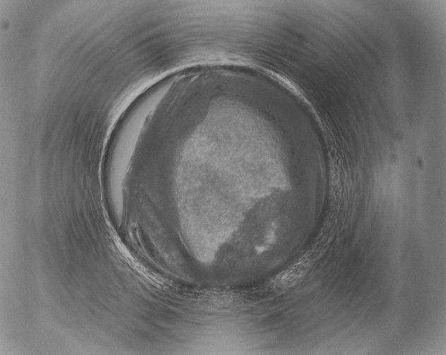 X0000053120935200508012148