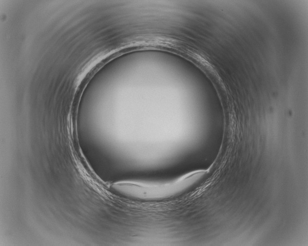 X0000053120936200508012148