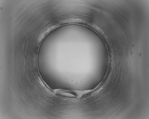 X0000053120937200508012148