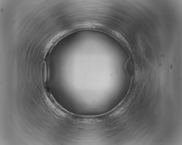 X0000053120938200508012148