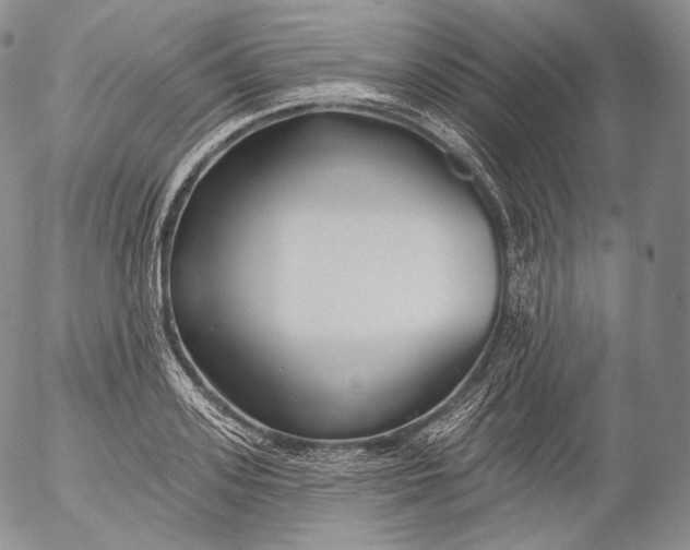 X0000053120939200508012148