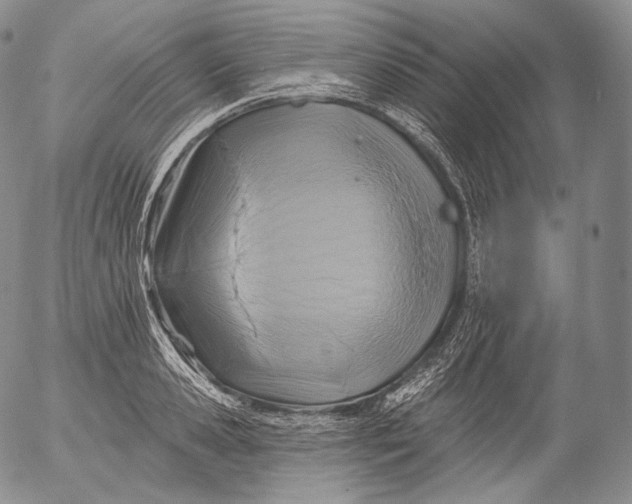 X0000053120941200508012148