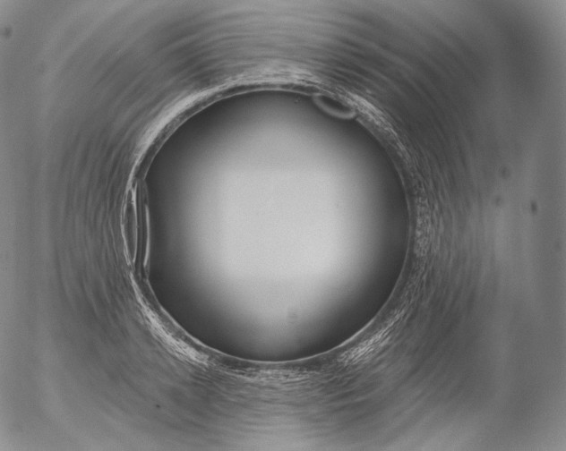 X0000053120942200508012148