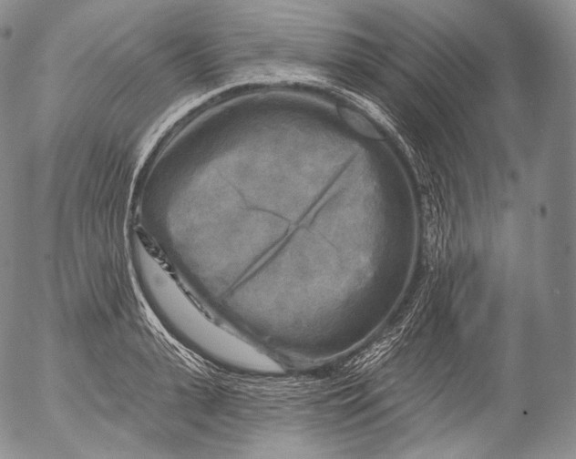 X0000053120943200508012148