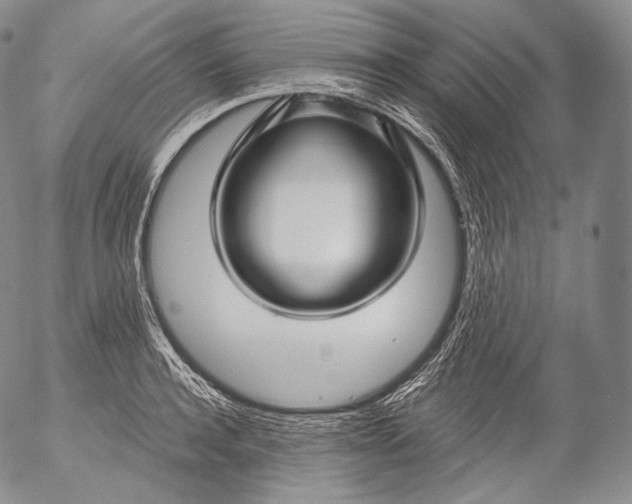 X0000053120944200508012148