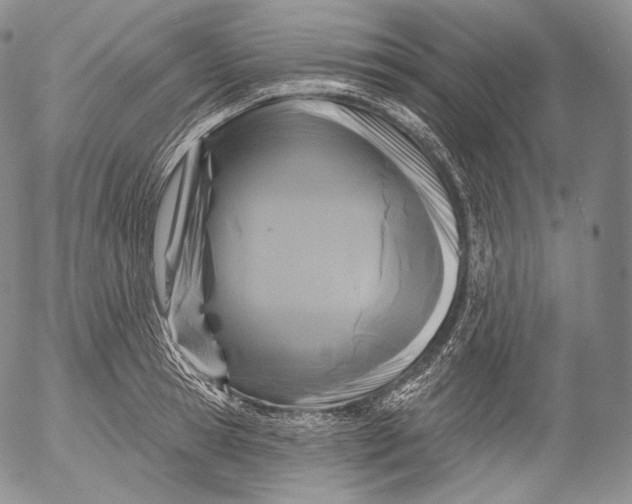 X0000053120945200508012148