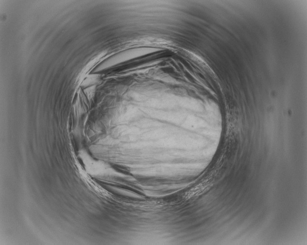 X0000053120946200508012148