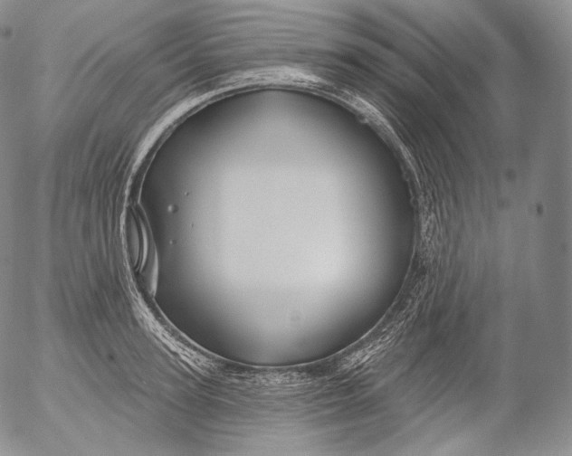 X0000053120947200508012148