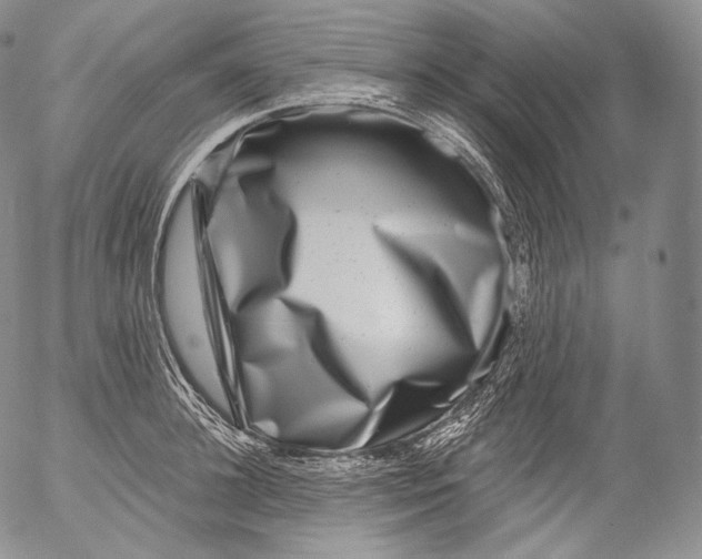 X0000053120948200508012148