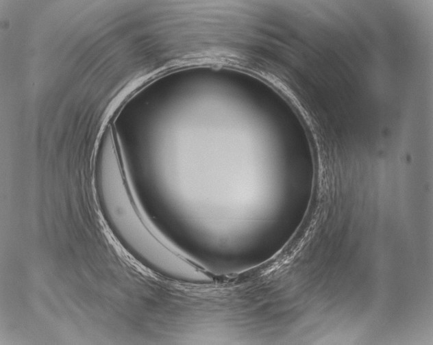 X0000053120949200508012148