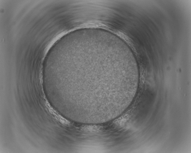 X0000053120950200508012148