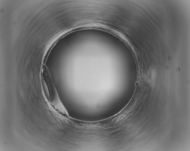 X0000053120951200508012148