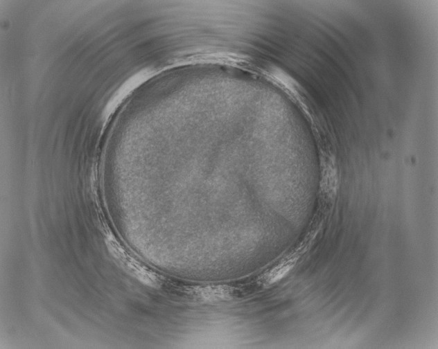 X0000053120952200508012148