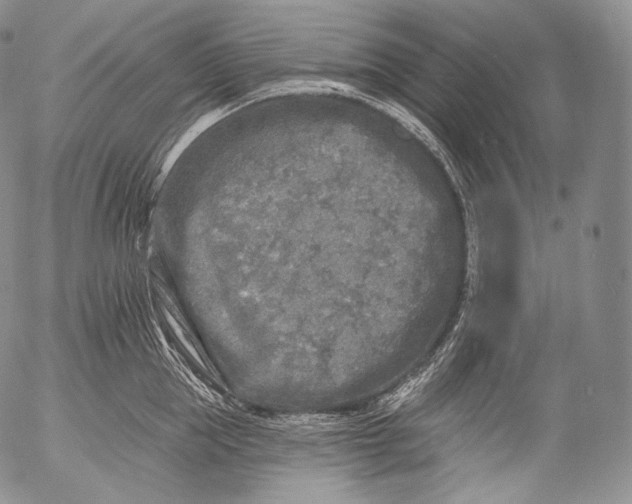 X0000053120953200508012148