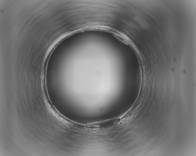 X0000053120955200508012148