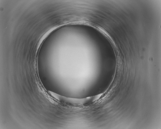 X0000053120956200508012148