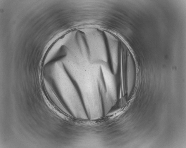 X0000053120957200508012148