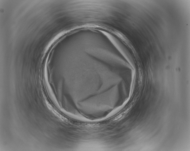 X0000053120958200508012148