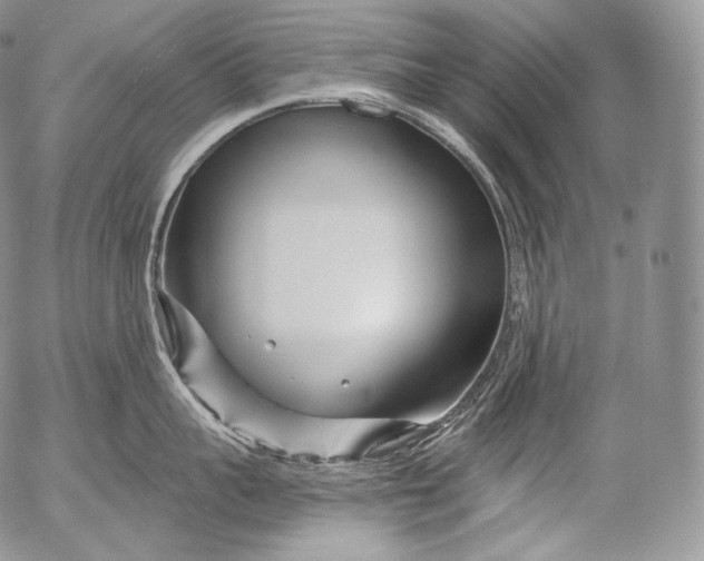 X0000053120959200508012148