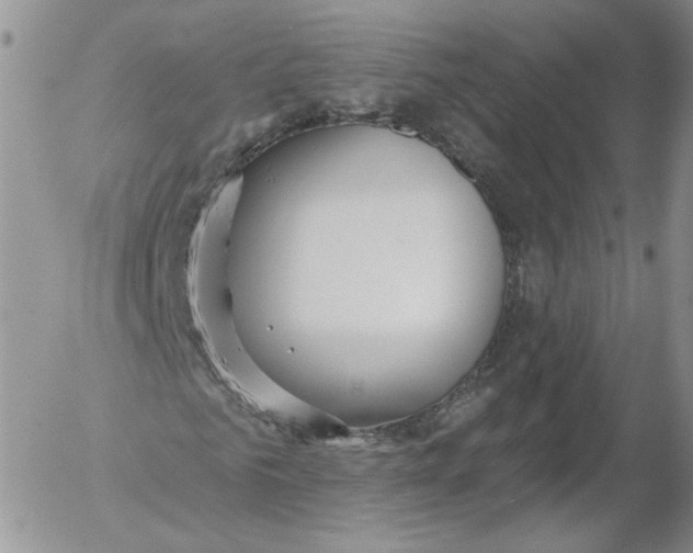 X0000053120961200508012147