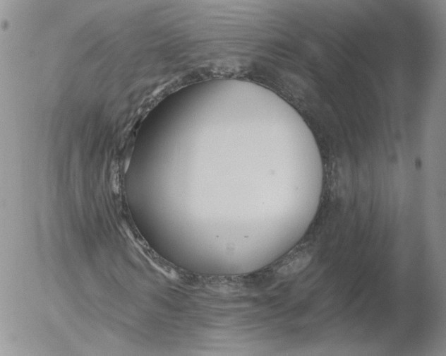 X0000053120962200508012147