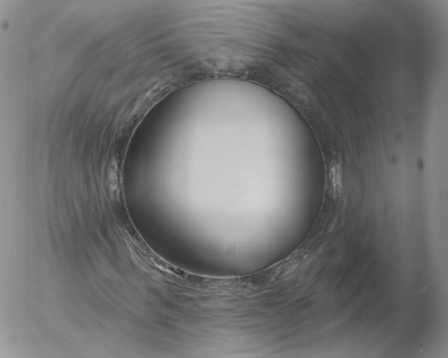 X0000053120963200508012147