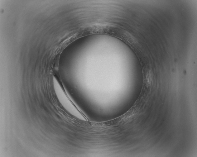 X0000053120964200508012147