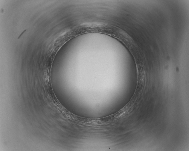 X0000053120966200508012147