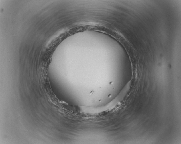 X0000053120967200508012147