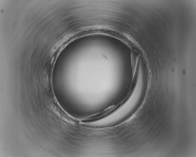 X0000053120969200508012147