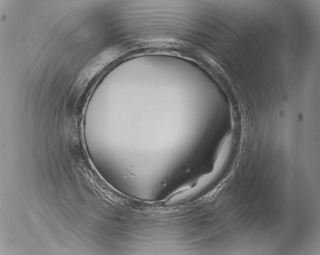 X0000053120970200508012147