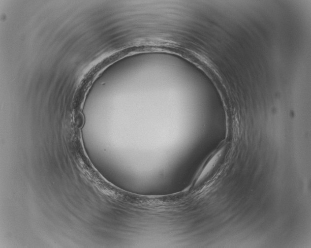 X0000053120971200508012147