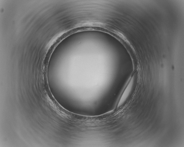 X0000053120972200508012147