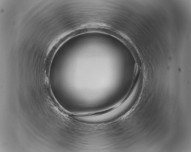 X0000053120973200508012147