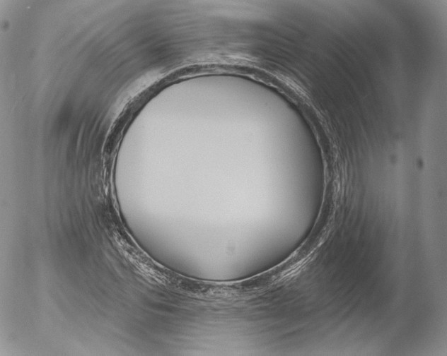 X0000053120974200508012147