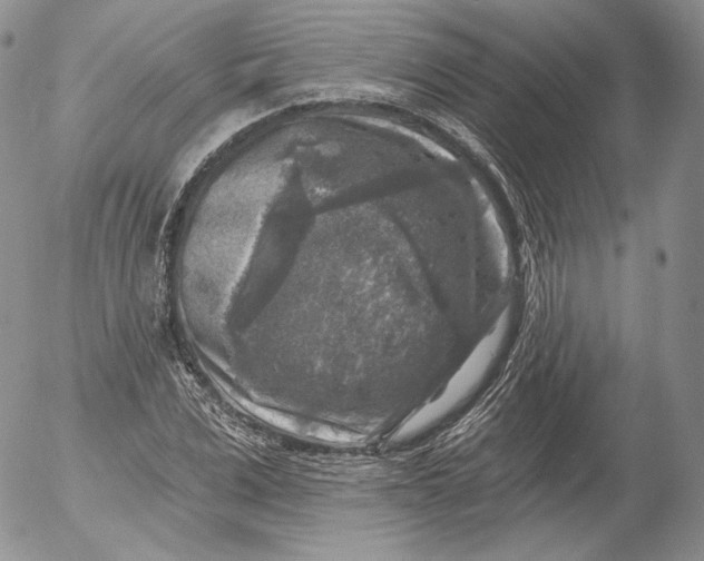 X0000053120975200508012147