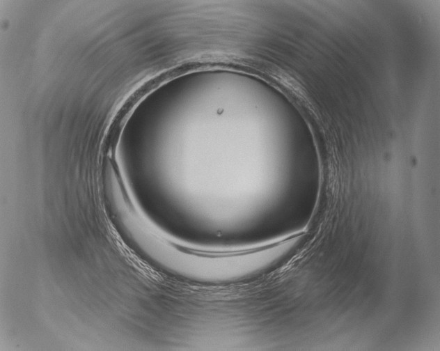 X0000053120976200508012147